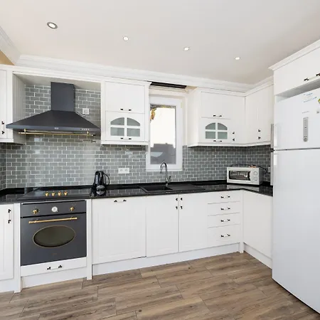 1 别墅 厄吕代尼兹